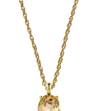 Dyrberg/Kern Guld Halskæde med Funklende Krystal