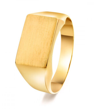 Arne Nordlie - 14Kt herre ring med plade - 51037